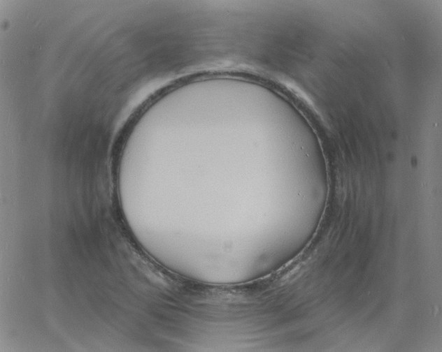 X0000060771270200512082024