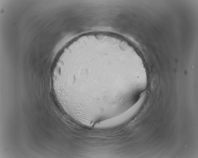 X0000060771271200512082024