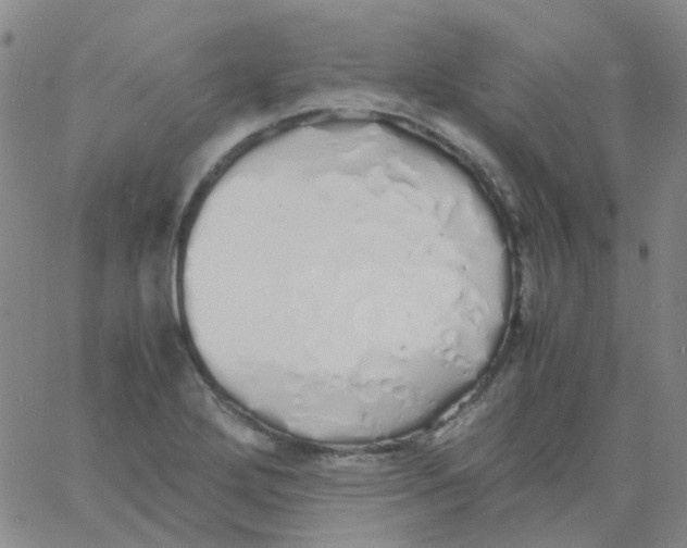 X0000060771272200512082024