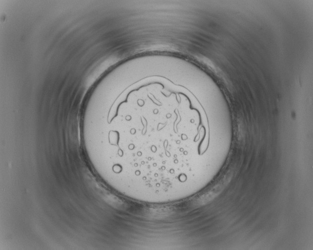 X0000060771274200512082024