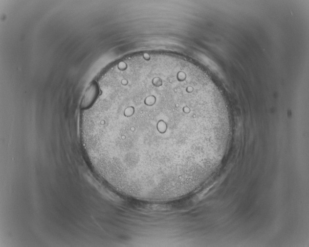 X0000060771275200512082024