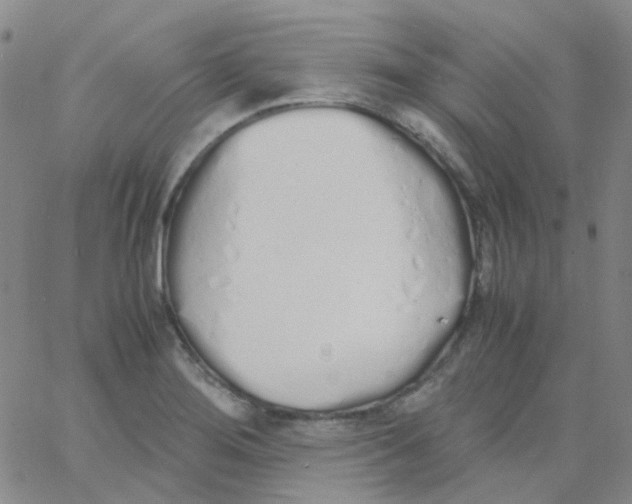 X0000060771276200512082024