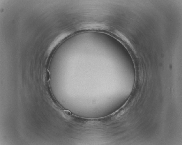 X0000060771277200512082024