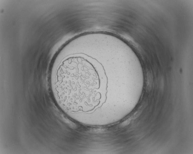 X0000060771278200512082024