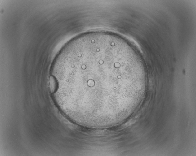 X0000060771279200512082024