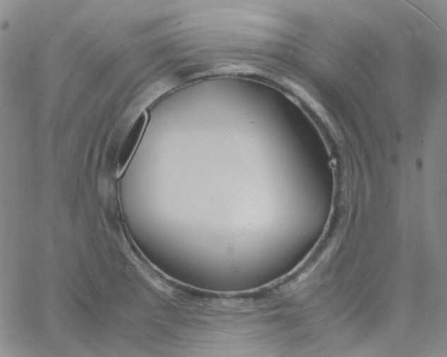 X0000060771281200512082024