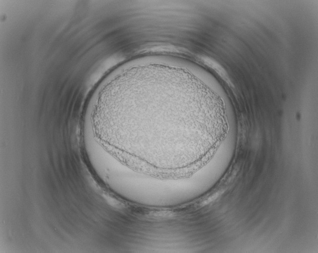 X0000060771282200512082024