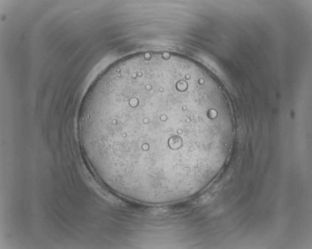 X0000060771283200512082024