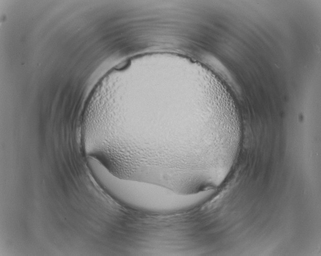 X0000060771284200512082024