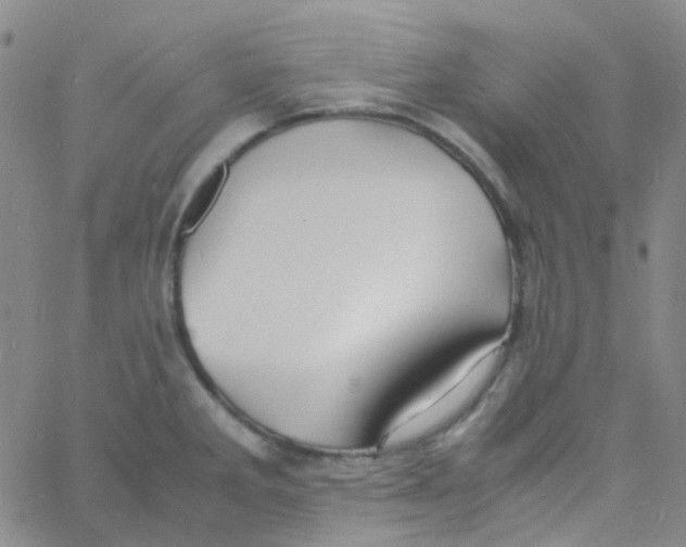 X0000060771285200512082024