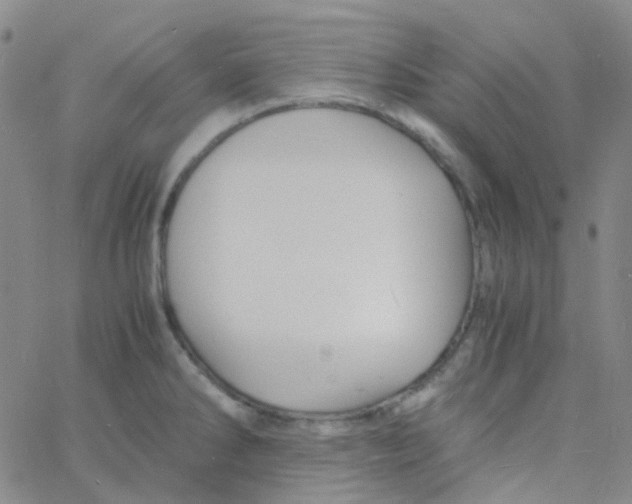 X0000060771286200512082024