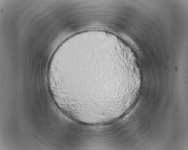 X0000060771288200512082024