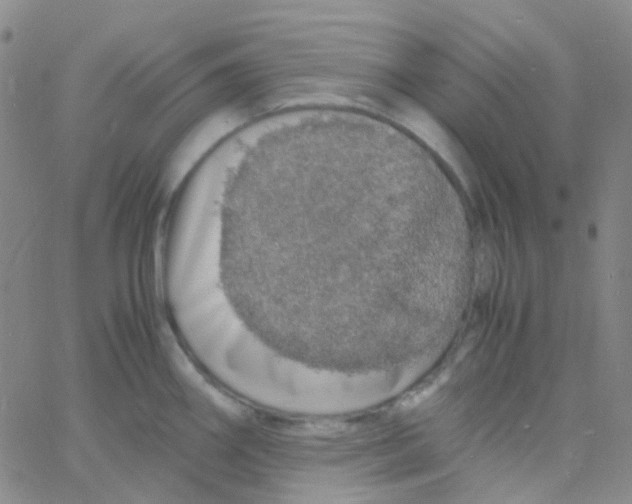 X0000060771290200512082024