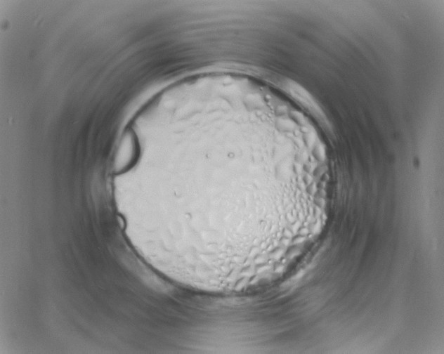 X0000060771292200512082024