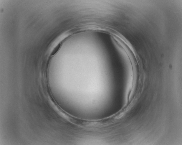 X0000060771293200512082024