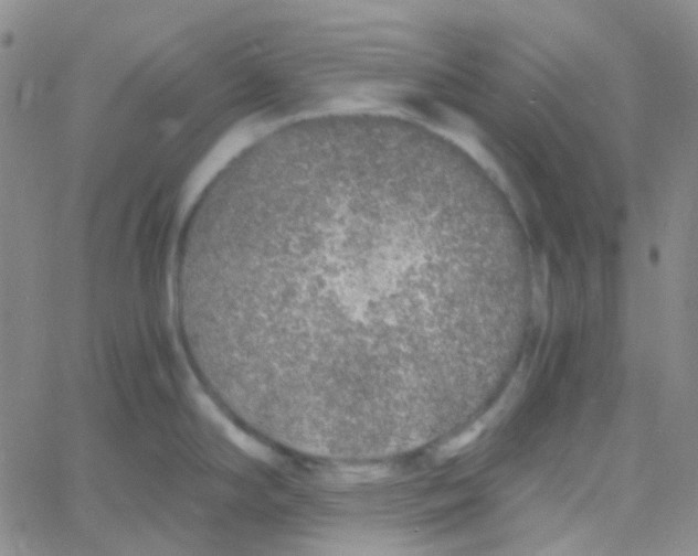 X0000060771294200512082024