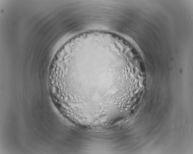 X0000060771295200512082024