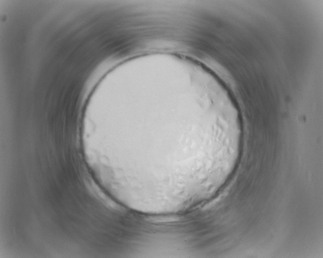 X0000060771296200512082024