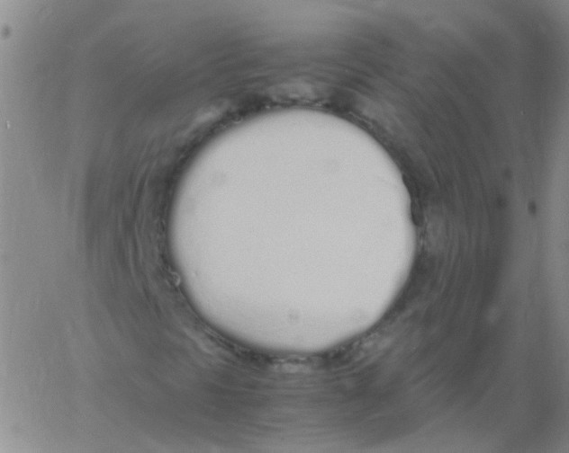 X0000060771297200512082023