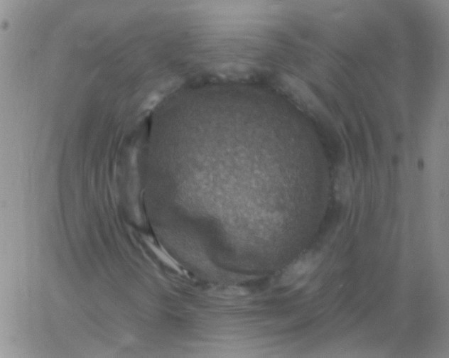 X0000060771298200512082023