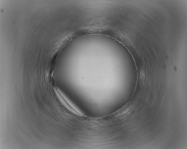 X0000060771300200512082023