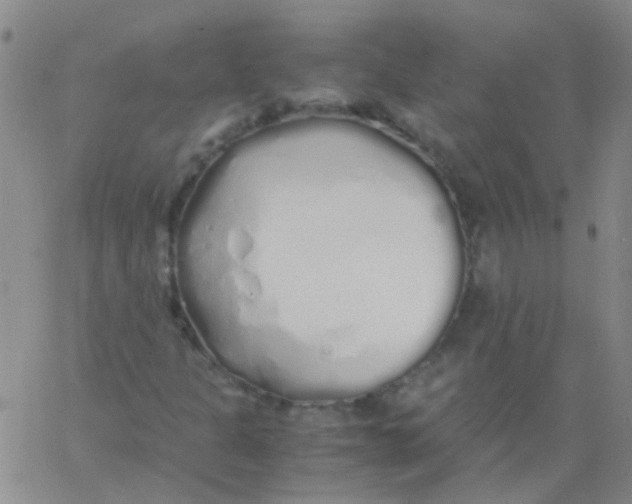 X0000060771301200512082023