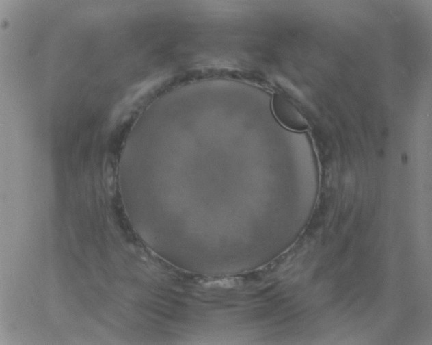 X0000060771303200512082023