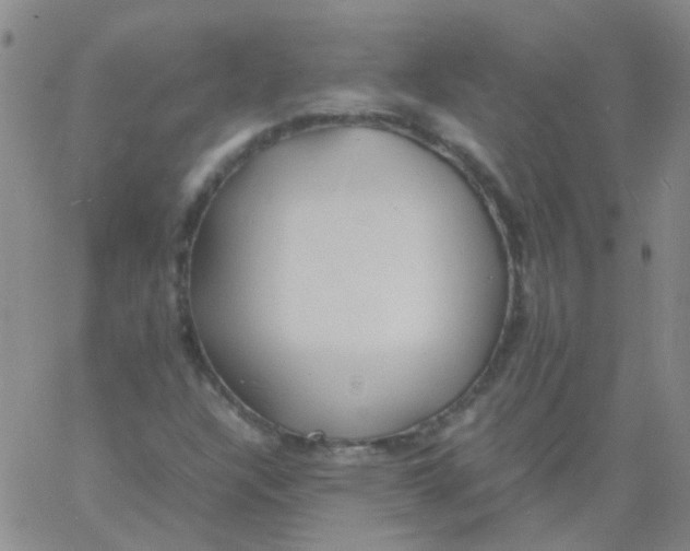 X0000060771304200512082023