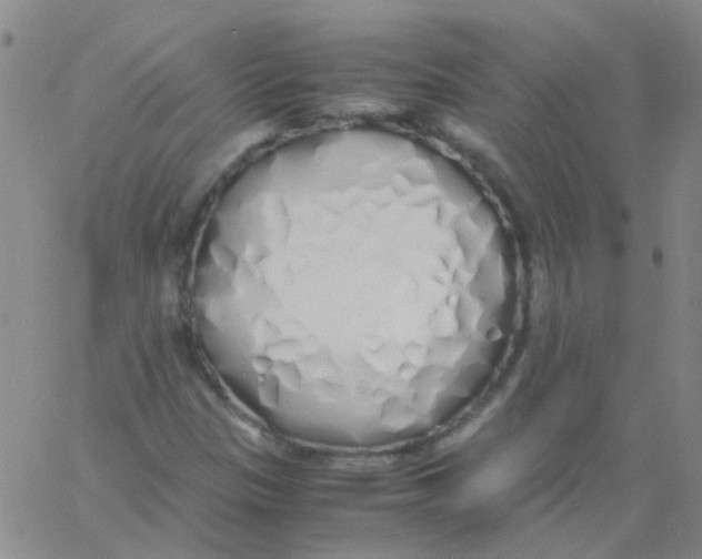 X0000060771305200512082023