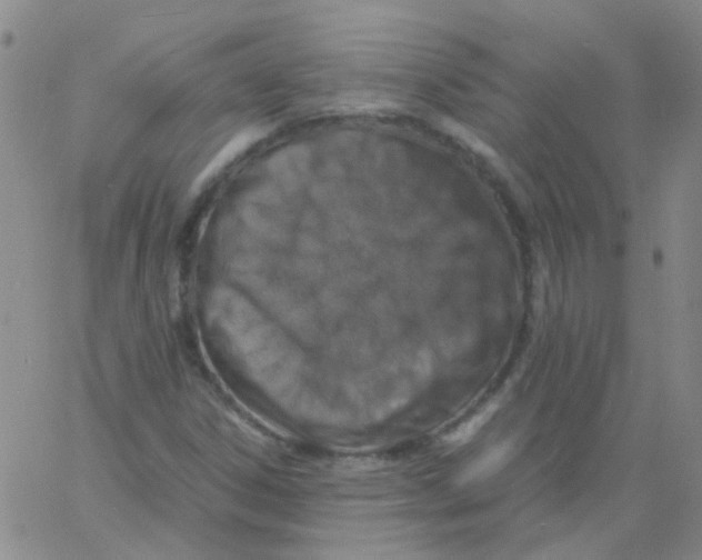 X0000060771306200512082023