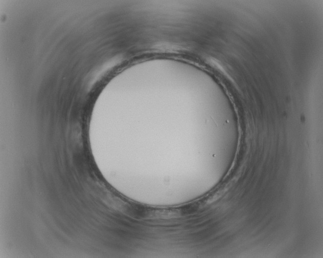 X0000060771307200512082023