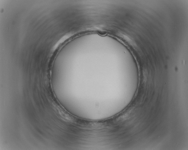 X0000060771308200512082023