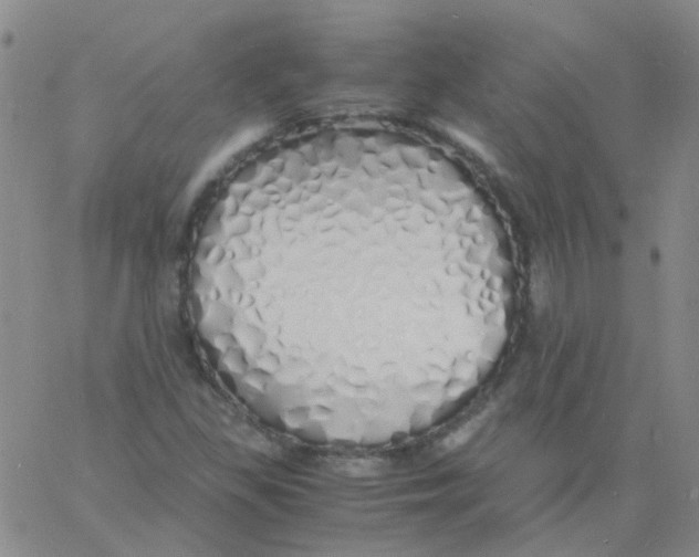 X0000060771309200512082023