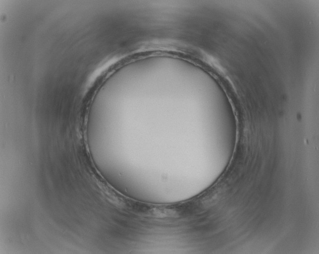 X0000060771312200512082023