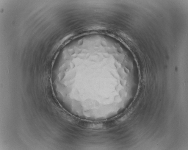 X0000060771313200512082023