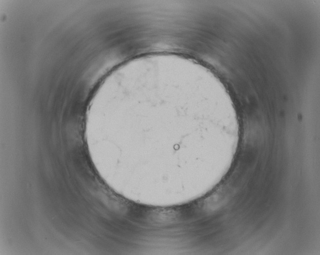 X0000060771314200512082023