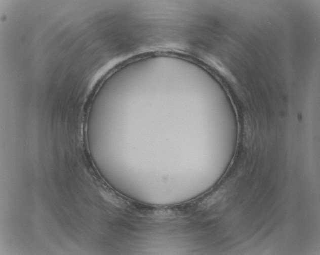 X0000060771316200512082023