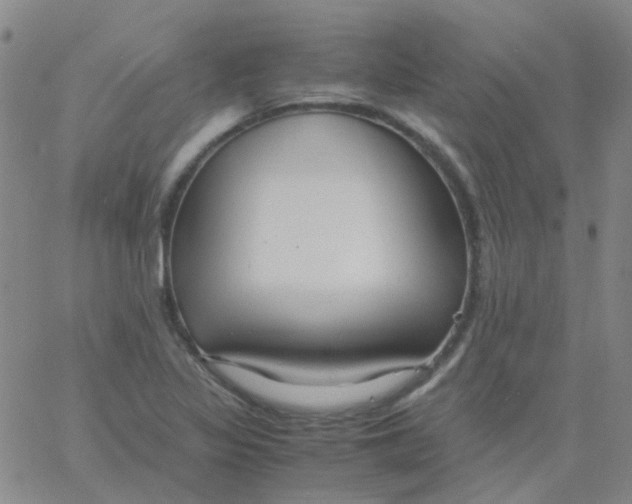 X0000060771317200512082023