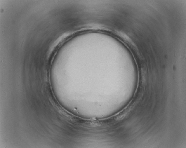 X0000060771318200512082023