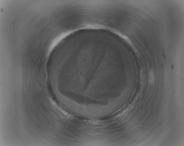 X0000060771319200512082023