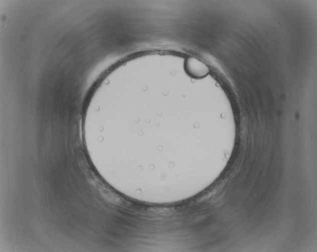 X0000060771320200512082023