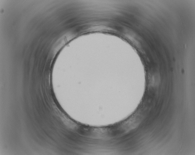 X0000060771322200512082023