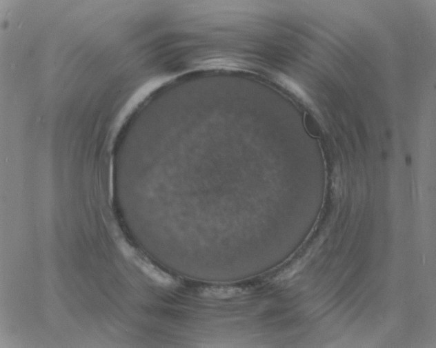 X0000060771323200512082023