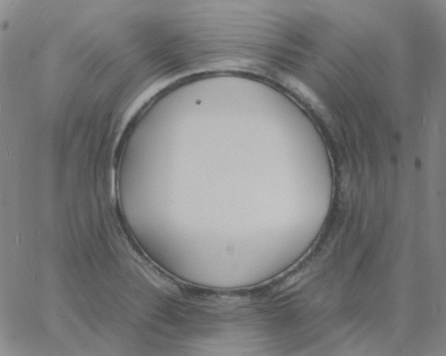 X0000060771324200512082024