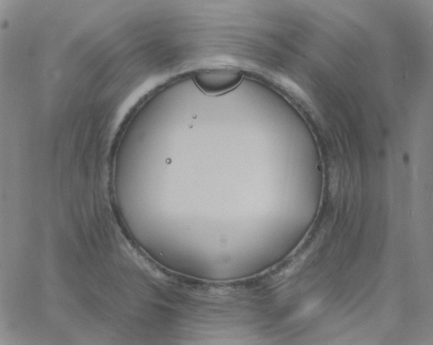 X0000060771326200512082024