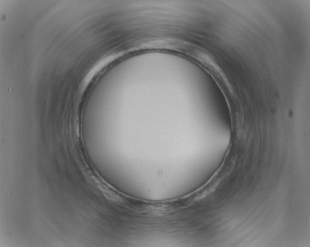 X0000060771328200512082024