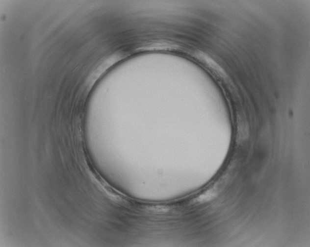 X0000060771329200512082024