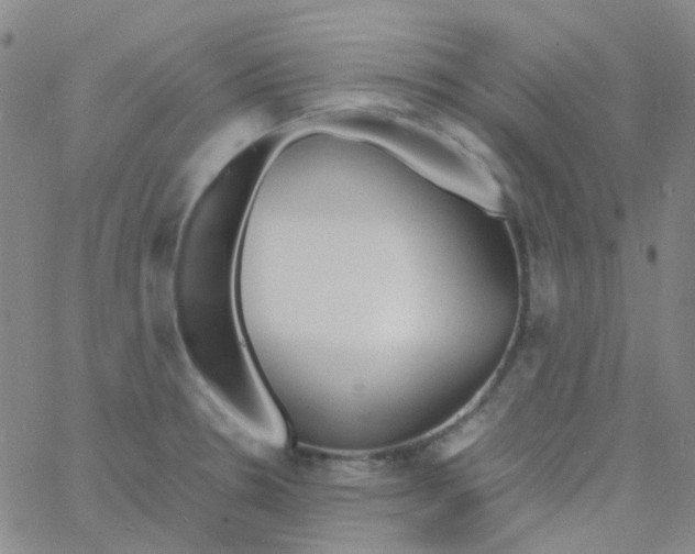 X0000060771330200512082024