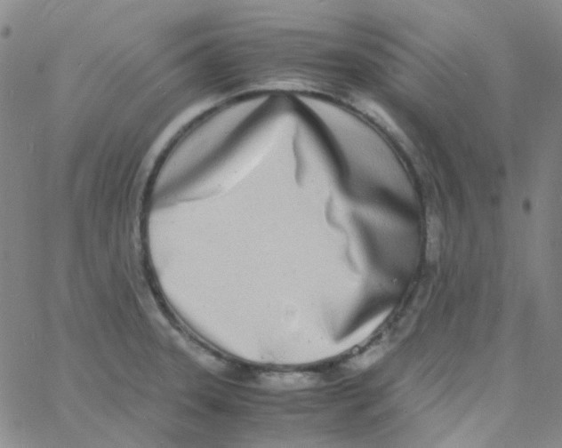 X0000060771331200512082024