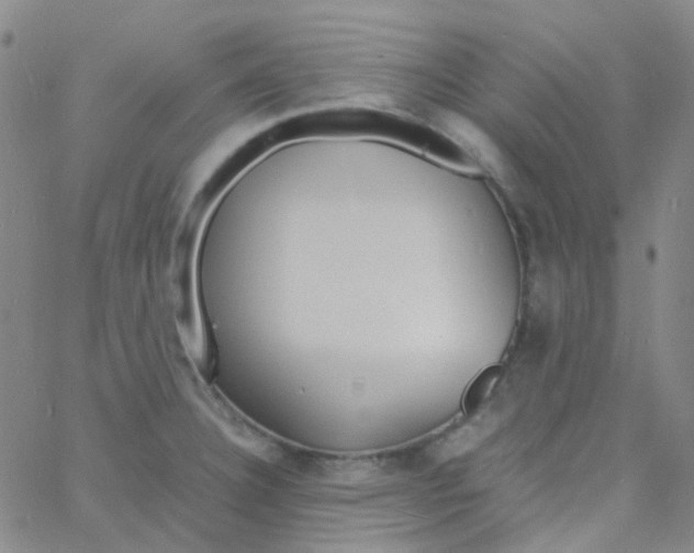 X0000060771332200512082024